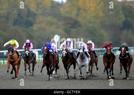 Horse Racing - Breeders Tag - Lingfield Park Stockfoto