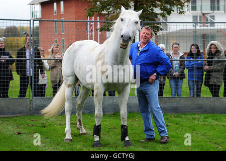 Horse Racing - Breeders Tag - Lingfield Park Stockfoto