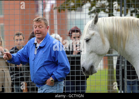 Horse Racing - Breeders Tag - Lingfield Park Stockfoto