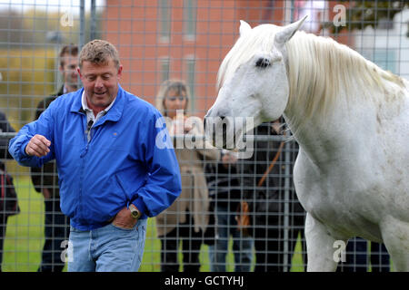 Horse Racing - Breeders Tag - Lingfield Park Stockfoto