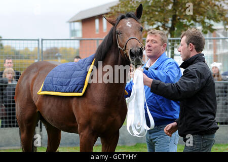 Horse Racing - Breeders Tag - Lingfield Park Stockfoto