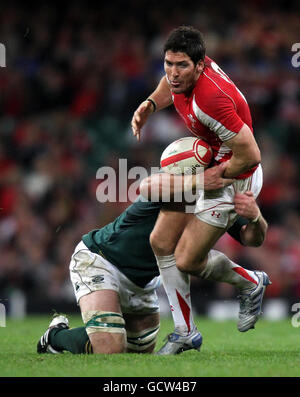 Rugby Union - Investec Perpetual Series 2010 - Wales / Südafrika - Millennium Stadium. Wales James Hook wird von Willem Alberts aus Südafrika während des Investec Perpetual Series-Spiels im Millennium Stadium, Cardiff, angegangen. Stockfoto