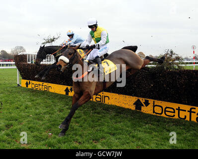 Pferderennen - Haydock Park Rennbahn Stockfoto