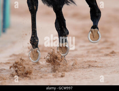 Pferderennen - Southwell Racecourse. Pferde Hufe auf Allwetterstrecke Stockfoto