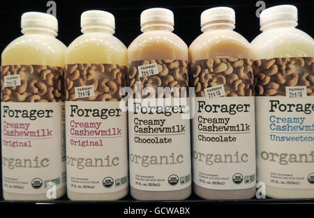 Forager Marke Bio Cashew Milch in der Molkerei Abschnitt, Fahrrinne Super Market, New York City, USA Stockfoto