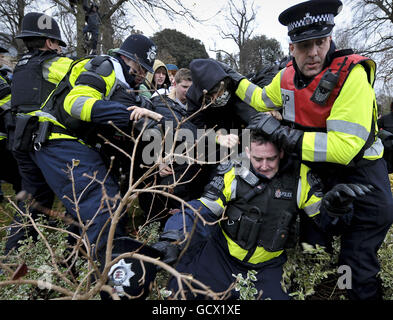 Ein Polizeibeamter verliert seinen Helm, als er und andere Beamte von Demonstranten auf dem Campus der Universität Bristol gedrängt werden, um gegen eine Erhöhung der Studiengebühren zu protestieren. Stockfoto