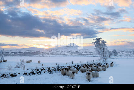 Sonnenaufgang über dem Slemish Mountain im Braid Valley, County Antrim, während der totalen Mondfinsternis. Stockfoto