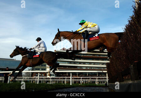 Cois Farraig unter Dominic Elsworth springt auf dem Weg zum Sieg in der Londoner Pride Novices' Chase von Fuller auf der Newbury Racecourse in Bekshire als zweiter auf den Wassersprung. Stockfoto