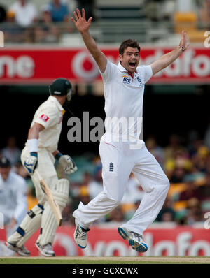 Der englische James Anderson appelliert beim ersten Ashes-Test auf der Gabba in Brisbane, Australien, erfolglos für das Dickicht des australischen Mike Hussey. Stockfoto