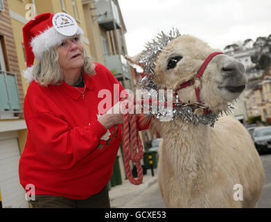 Ann Widdecombe mit Eseln Stockfoto