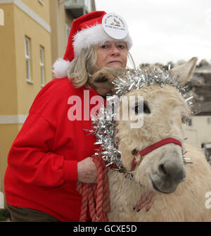 Ann Widdecombe mit Eseln Stockfoto