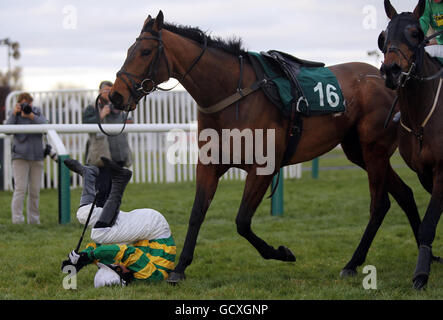 Richie McLernon ist faller auf 45 in der CF Roberts Electrical Mechanical Services Conditional Jockeys' Handicap Steeple Chase auf der Cheltenham Racecourse, Cheltenham. Stockfoto