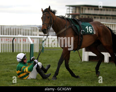 Pferderennen Sie-Cheltenham Racecourse Stockfoto