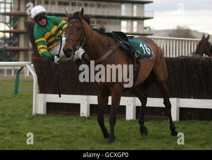 Pferderennen Sie-Cheltenham Racecourse Stockfoto