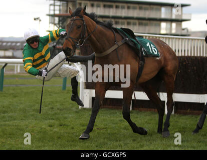 Pferderennen Sie-Cheltenham Racecourse Stockfoto