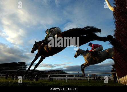 Midnight Chase, geritten von Dougie Costello auf dem Weg zum Sieg im Majordomo Hospitality Handicap Steeple Chase auf der Cheltenham Racecourse, Cheltenham. Stockfoto