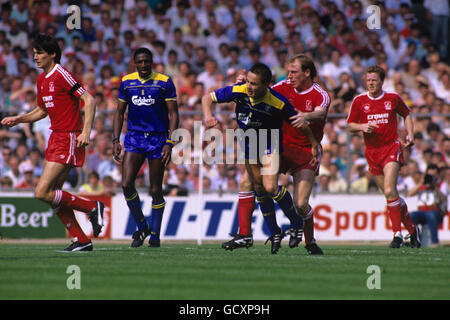 Dennis Wise von Wimbledon, Mitte, in einem Gefalle mit Steve McMahon von Liverpool während des FA Cup Finales. Von links nach rechts Alan Hansen, John Fashanu, Wimbledon, Dennis Wise, Steve McMahan und Steve Nicol. Stockfoto