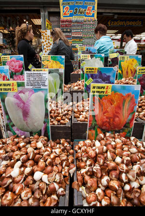 Blumenmarkt, Amsterdam, Holland, Niederlande, Europa Stockfoto