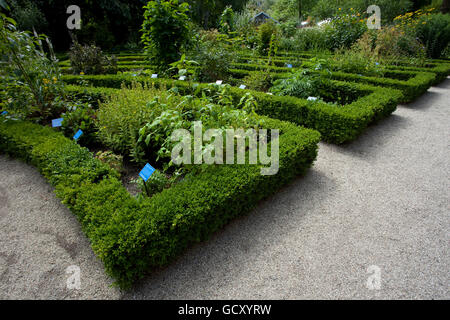 Garten im Hortus Botanicus, Amsterdam, Holland, Niederlande, Europa Stockfoto