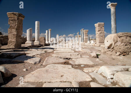 Museum und archäologische Stätte von Laodicea, Denizli, Lykien, Türkei, Asien Stockfoto