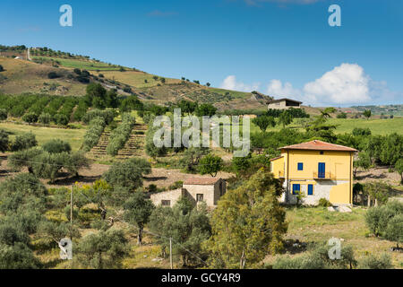 Sizilianische Landschaft mit antiken und modernen Haus mit Oliven- und Mandelbäumen in voller Blüte. Stockfoto