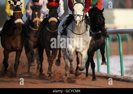 Pferderennen - Southwell Racecourse. Action aus dem Bet-Totepool bei totesport.com „Jumpers“ Bumper“ NH Flat Race Stockfoto