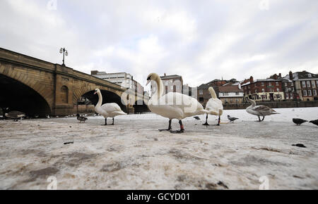 Die River Ouse ist heute in der Stadt York vollständig gefroren, da die Tiefkühltruhe in Großbritannien andauert. Stockfoto