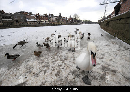 25. Dezember Winterwetter Stockfoto