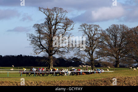 Korallen, walisischer Nationalfeiertag - Chepstow Rennbahn Stockfoto