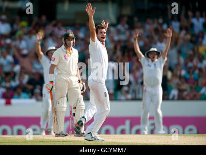 Der englische James Anderson appelliert beim fünften Ashes Test auf dem Sydney Cricket Ground, Sydney, Australien, erfolglos für das Dickicht des australischen Michael Hussey. Stockfoto