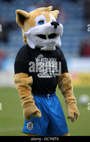 Fußball - npower Football League One - Huddersfield Town gegen Sheffield Mittwoch - das Galpharm Stadium. Terry der Terrier, Maskottchen von Huddersfield Town Stockfoto