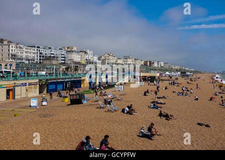 Blick entlang der Strandpromenade von Brighton und den Stränden östlich der Piers Sussex UK Stockfoto