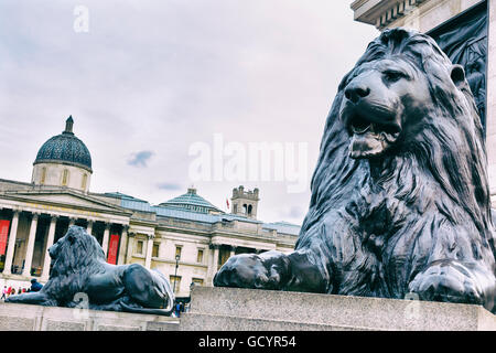 Löwen an der Basis der Werte-Spalte. Trafalgar Square. London, England, Vereinigtes Königreich, Europa. Stockfoto