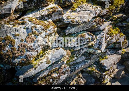Die Sonne scheint auf Felsen bedeckt in Flechten und Moos Textur und Interesse auf einem terrassierten Kalkstein Felswand erstellen Stockfoto
