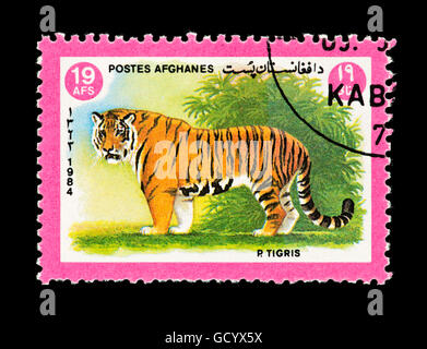 Briefmarke aus Afghanistan Darstellung ein Tiger (Panthera Tigris) Stockfoto
