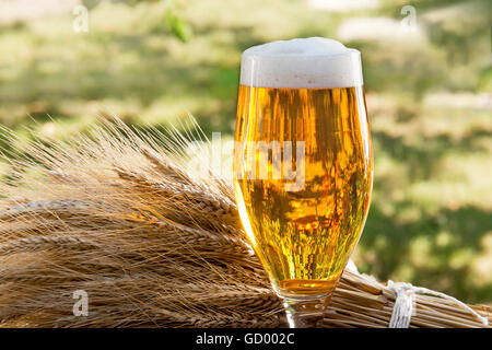 Bierglas und Rohstoff für die Herstellung von Bier in der Natur, Stockfoto