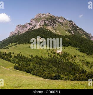 Dolomitian Velký Rozsutec Hügel mit wässert Wiesen in Mala Fatra Gebirge von unten Stockfoto