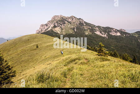 felsigen Velký Rozsutec Hügel von Osnica Hügel mit Bergwiese und vereinzelte Bäume in Mala Fatra Gebirge in der Slowakei Stockfoto