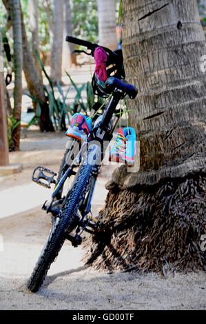 Bike stützte sich auf eine Palme Stockfoto