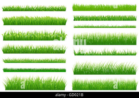 Satz von Frühjahr Grasgrün horizontalen Grenzen. Grüne Grasaufnahme auf weißem Hintergrund für Ihr design Stockfoto