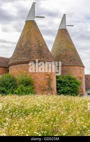 Oast Houses in der Weald kent Stockfoto