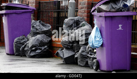 Müll-Sammlungen Stockfoto