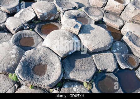 Giants Causeway. Einzigartige sechseckige Gesteinsformationen vulkanischen Basalt Felsen an der Küste in Nordirland, Vereinigtes Königreich Stockfoto