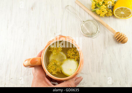 Linden-Tee mit frischen Blumen und Zitrone serviert Stockfoto