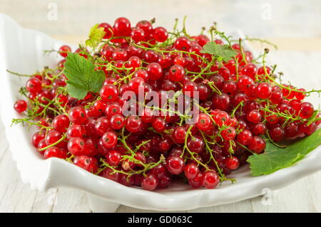 Frische rote Johannisbeere Früchte auf einem weißen Teller Stockfoto