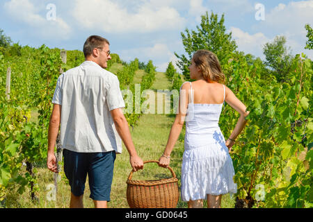 Glückliches Paar arbeiten an Trauben pflücken und halten den Weidenkorb Stockfoto