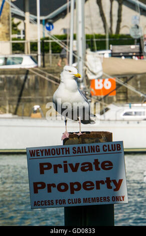 Weymouth-Segel-Club Stockfoto