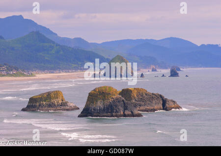 Blick auf Cannon Beach und Haystack Rock sowie andere Felsformationen aus Ecola State Park, Oregon Stockfoto