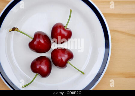 Kirschen, frisch gepflückt aus dem Baum leuchtend rot auf einem weißen Porzellanteller Stockfoto