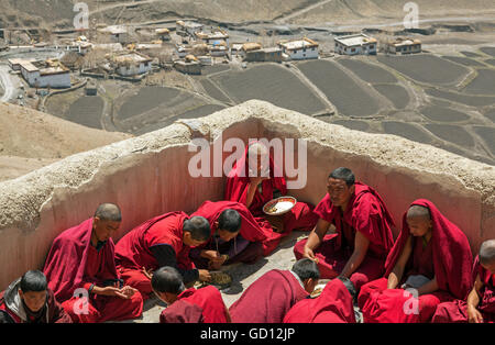 Schlüssel-GOMPA, Indien - 28. April 2016: junge Mönche haben eine Mittagessen auf dem Dach des Klosters Schlüssel (4166 m, tibetischen Buddhismus). Stockfoto